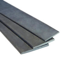 EN Standard Carbon Steel Flat Bar with Anti-Rust Oil Customized According to Clients Requirement